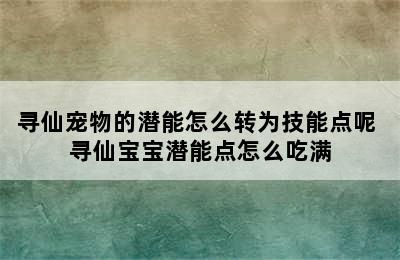 寻仙宠物的潜能怎么转为技能点呢 寻仙宝宝潜能点怎么吃满